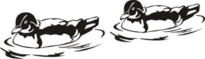 Highslide JS
